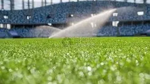 刘国梁谈与叶诗文相识：张继科催促看视频，她泳速惊人