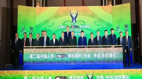 “欧联与欧协联赛赛事概览”